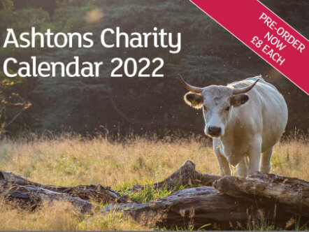 Living Magazines Ashtons Charity Calendar 2022