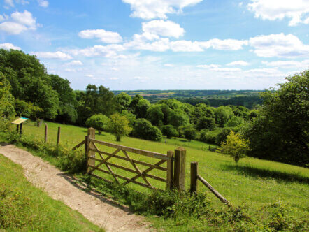 Aldbury Nowers (c) Josh Kubale