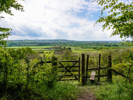 Aldbury Nowers © Mike Perry