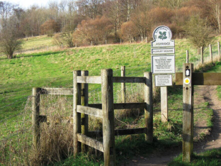Aldbury_Nowers. One of the entrances to the National Trust Estate of Ashridge_-_geograph.org.uk_-_1347768