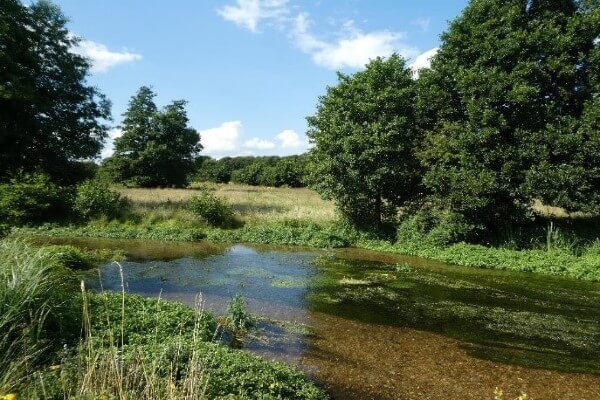 Archers Green Nature Reserve (c) HMWT