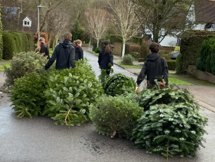 Living Magazines Berkhamsted Christmas Tree Recycling Jan 2023