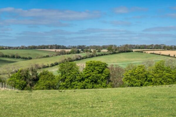 Living Magazines Berkhamsted_Ashridge walk