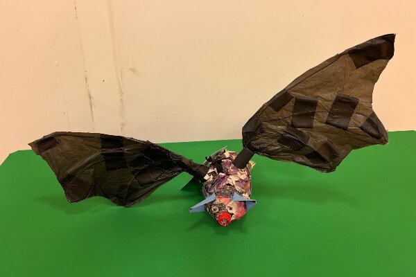 Living Magazines Big Recycle Week Westbrook-Hay---Natterer's-bat