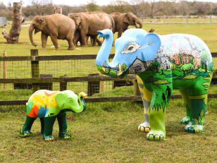 Living Magazines Big Trunk Trail_Whipsnade elephants_copyright Keech Hospice Care