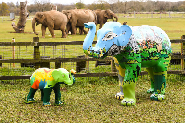Living Magazines Big Trunk Trail_Whipsnade elephants_copyright Keech Hospice Care
