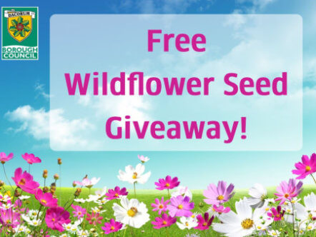 Living Magazines Biodiversity Day wildflower-giveaway