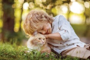 Boy and Cat - AdobeStock_285535381