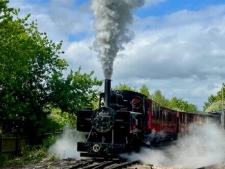 Buzzrail Halloween 2025