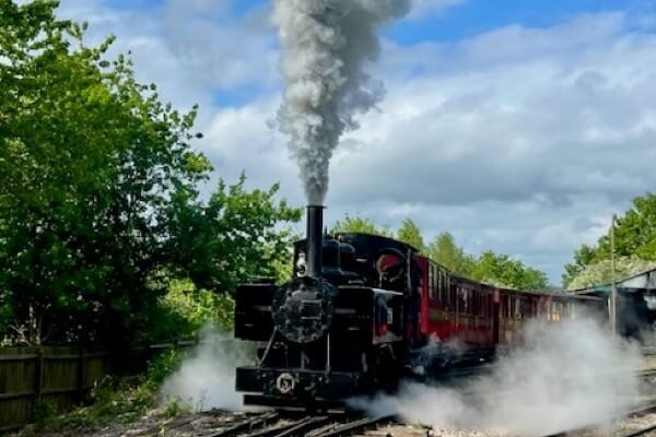 Buzzrail Halloween 2025