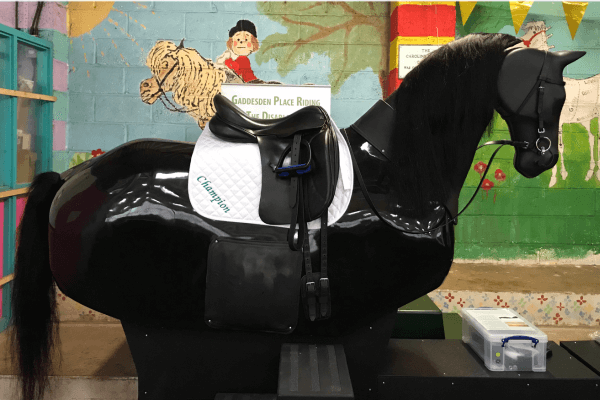 Living Magazines Champion the mechanical horse