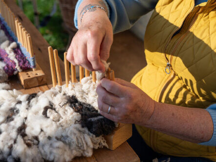COAM Wild About Wool
