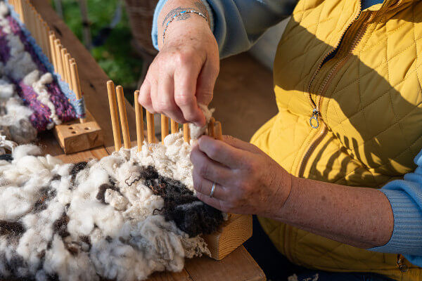 COAM Wild About Wool