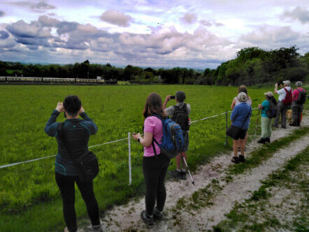 CWF May 2021 Chinnor and Princes Risborough Railway
