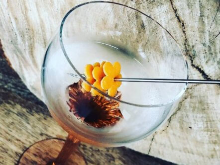 Living Magazines Campfire London Dry Gin Best Martini