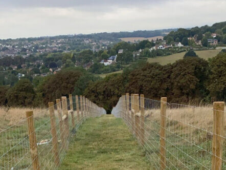 Castle Fields gates and fencing Berkhamsted