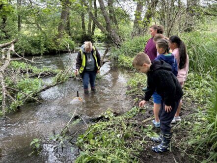 Chalk Stream Challenge River Mimram Panshanger Park (c) Heidi Mansell