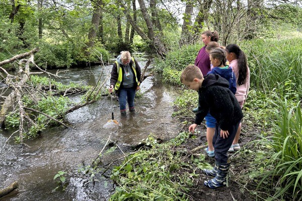 Chalk Stream Challenge River Mimram Panshanger Park (c) Heidi Mansell