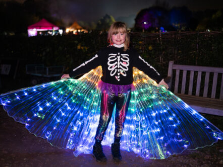 Chiltern Open Air Museum Halloween Spectacular