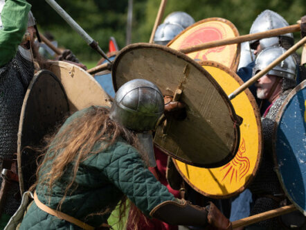 Chiltern Open Air Museum Viking Weekend