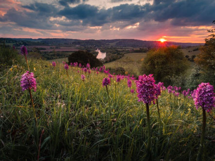 Living Magazines Chilterns Sunset