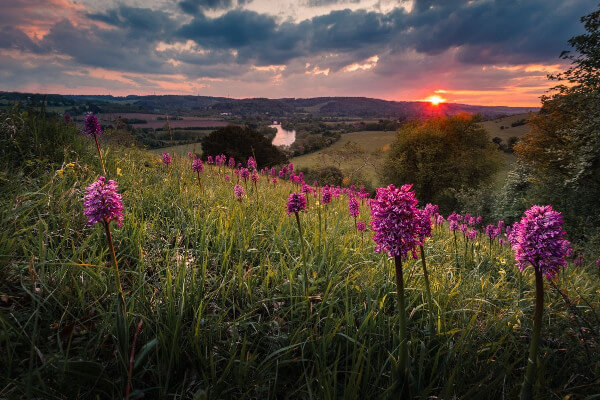 Living Magazines Chilterns Sunset