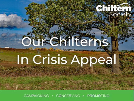 Living Magazines Chilterns in Crisis Appeal