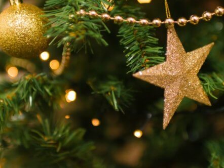 Living Magazines Christmas Tree Recycling pexels-jéshoots-281618