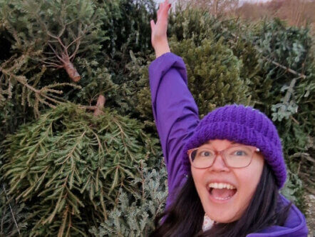 Hospice of St Francis Christmas tree collection 2026