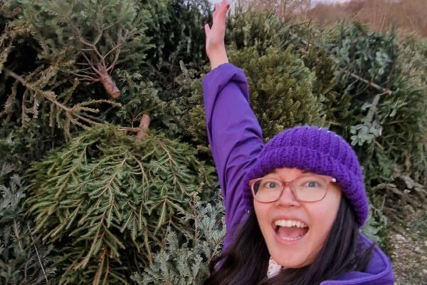 Hospice of St Francis Christmas tree collection 2026