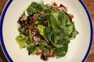 Living Magazines Coluco Vegan Salad