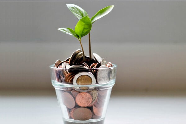 Living Magazines DBC green community grants