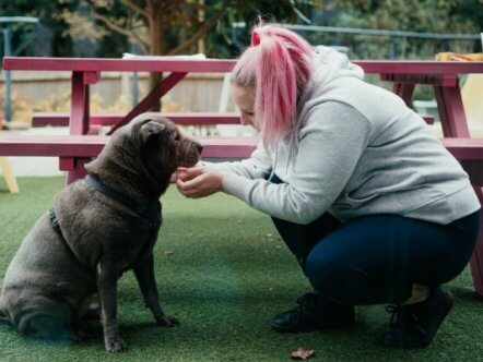 Living Magazines Debbie & Bluebell DENS pet friendly hostel