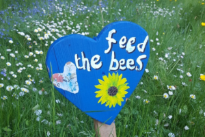 Feed the bees sign