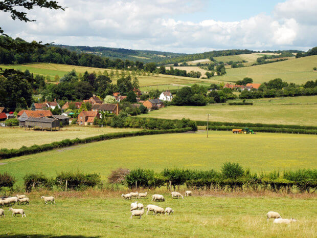 Living Magazines Chilterns AONB five-year plan