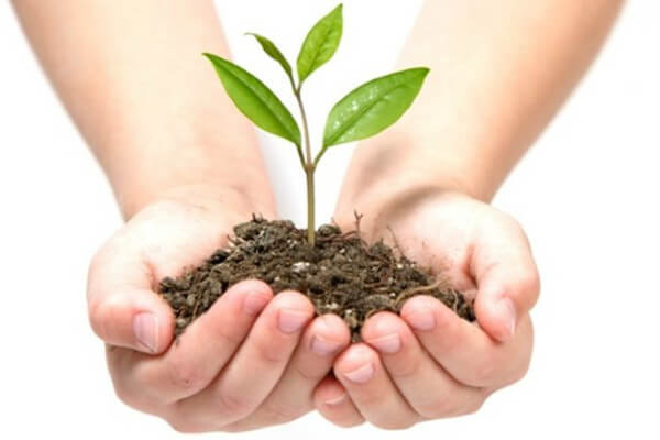 Living Magazines Free Compost