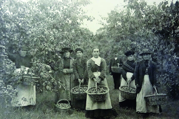 Living Magazines Fruit Pickers at Lanes Nurseries