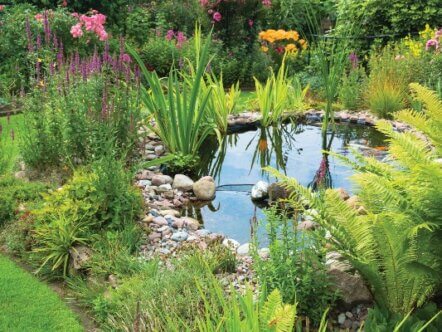 Garden - AdobeStock_136599016