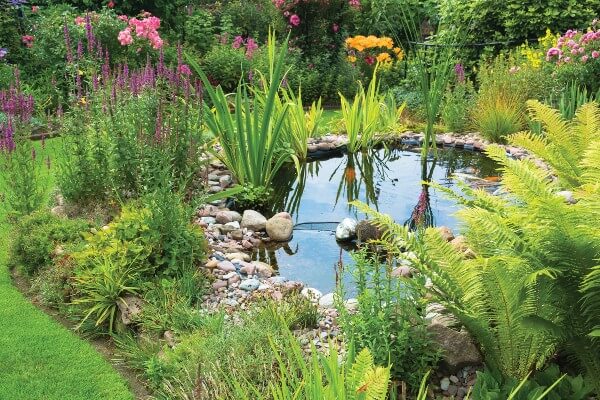 Garden - AdobeStock_136599016