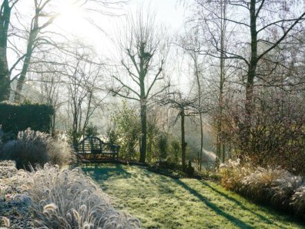 Living Magazines Garden frost