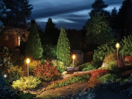 Illuminated home garden path patio lights and plants in autumn evening dusk