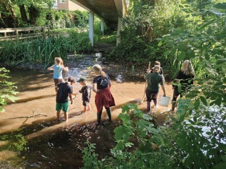 Great Big Green Week - Riverfly Survey