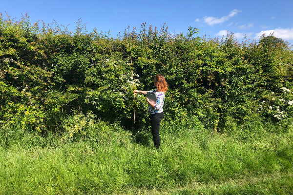 Living Magazines Great British Hedgerow Survey