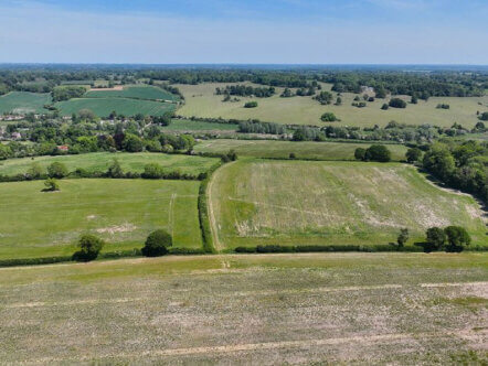 Great Gaddesden restoration project