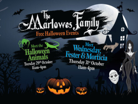 Halloween Events The Marlowes