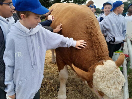 Living Magazines Hertfordshire Schools Food and Farming Day
