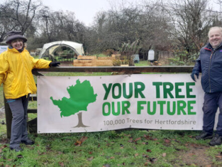 Hertfordshire tree planting pledge