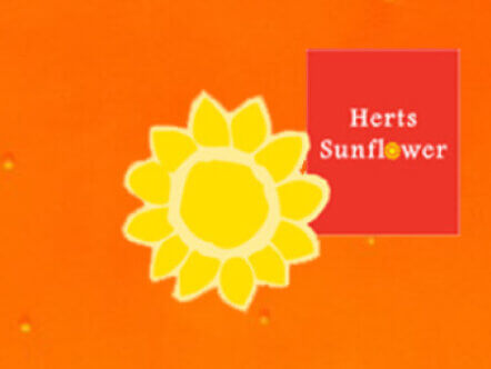 Herts Sunflower logo