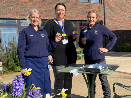Living Magazines Horatios Garden Thumbprints for Chelsea Flower Show