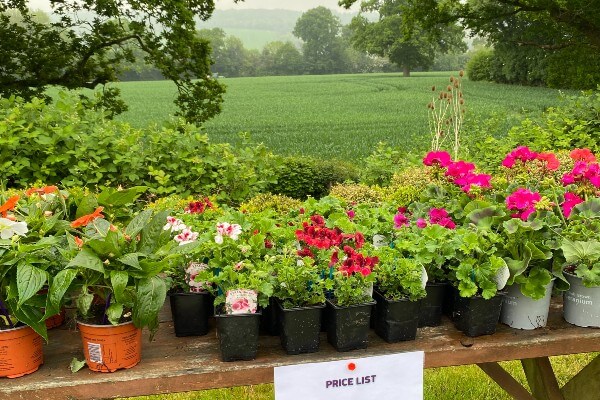 Hospice plant sale